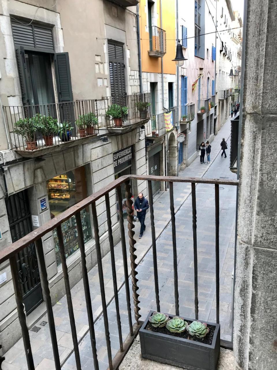Apg Palau Salieti 1 Lejlighed Girona Eksteriør billede